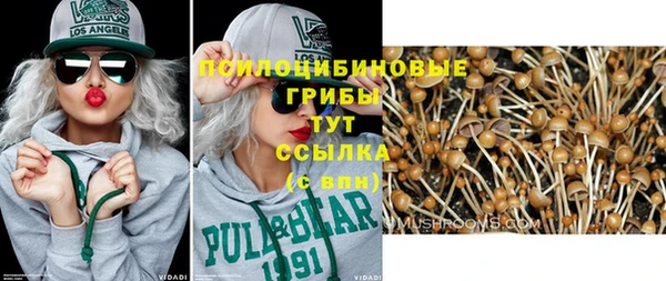МДПВ Арсеньев
